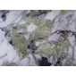 冷翡翠-Ice-Jade（近图）