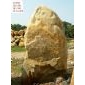 供應廈門園林景觀石,優質英德大型黃臘石黃蠟石