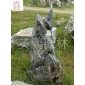 太湖石,園林景觀石-山澗直銷英德現(xiàn)貨*多,質(zhì)優(yōu)價(jià)廉