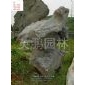 太湖石,用品質(zhì)說話,不經(jīng)過中間商-深圳現(xiàn)貨*多