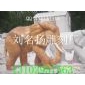 大象
