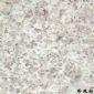 珍珠白（中國(guó)）