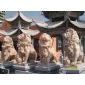 仿真獅子