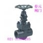 j11y-800lb鍛鋼截止閥