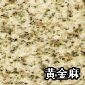 黃金麻