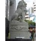 坐非洲獅