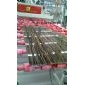 金龍黑金花