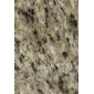 奧文度金 Giallo Ornamental