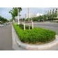 高家山東路邊石|五蓮花路邊石報價|五蓮花