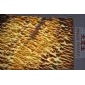 紅龍玉（透光）