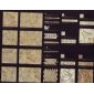 DT6082-sandstone