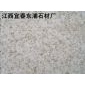 珍珠白新
