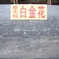 白金花