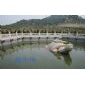 龜 龜蛇 放生池 陵園