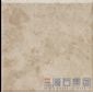 新帝王（諾雅米黃）