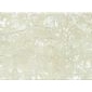 鉑金米黃 Bella Beige