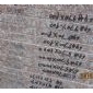 桃花G687韓國單工程板03