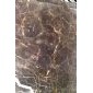 金鑲玉 茶底