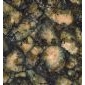 供應(yīng)微晶石4D噴墨復(fù)合微晶磚 廠家直銷 TJ8369熱帶雨林