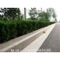 路沿石價格，淺紅路沿石價格，五蓮紅路沿石價格