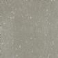 鉑金灰 Platinum Grey YR0827