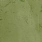 丹東綠 Danton Green YR0713