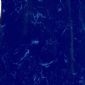 夢幻藍(lán) Fantasy Blue YR0714