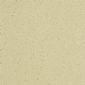 黎花黃 Pear Beige YR0826