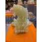 鲤鱼