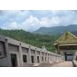 中臺(tái)禪寺