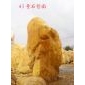 2米左右黄蜡石景观石