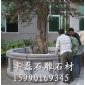 莒南青圓樹池