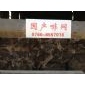 國產(chǎn)啡網(wǎng)