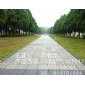 五蓮花荔枝面案例