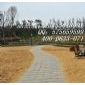 芝麻灰鋪路石
