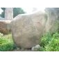 鵝卵石44號 