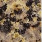 New Chinese Tropical Gold (SD)