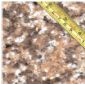 Opal Beige