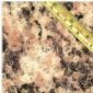 Tiger Skin Yellow