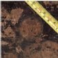 貨號(hào)：Baltic Brown