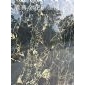 雅典金花
