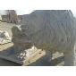 走獅