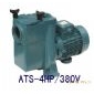 爱克水泵4HP 爱克泳池水疗泵【厂价销售】