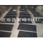 蝴蝶蘭半成品