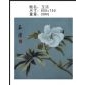 玉潔