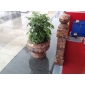 雨花石