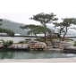 園藝實景