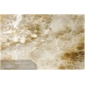 Polished Caramel Onyx