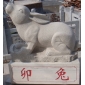 十二生肖-兔