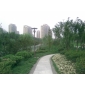 杭州市政工程采荷公園案例 (1)